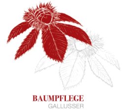 Baumpflege-Gallusser