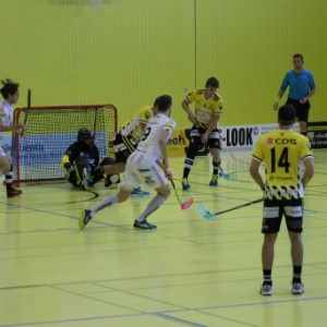 Herren 1: 4.Meisterschaftsrunde 1GF: Rheintal Gators Widnau – UHC Pfanni (5:3)