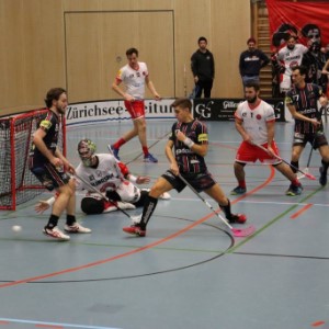 Herren 1: 15.Meisterschaftsrunde 1GF: UHC Pfanni – UHC Herisau (6:5 n.V.)