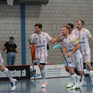 Herren 1: 7.Meisterschaftsrunde 1GF: Glattal Falcons – UHC Pfanni (3:10)